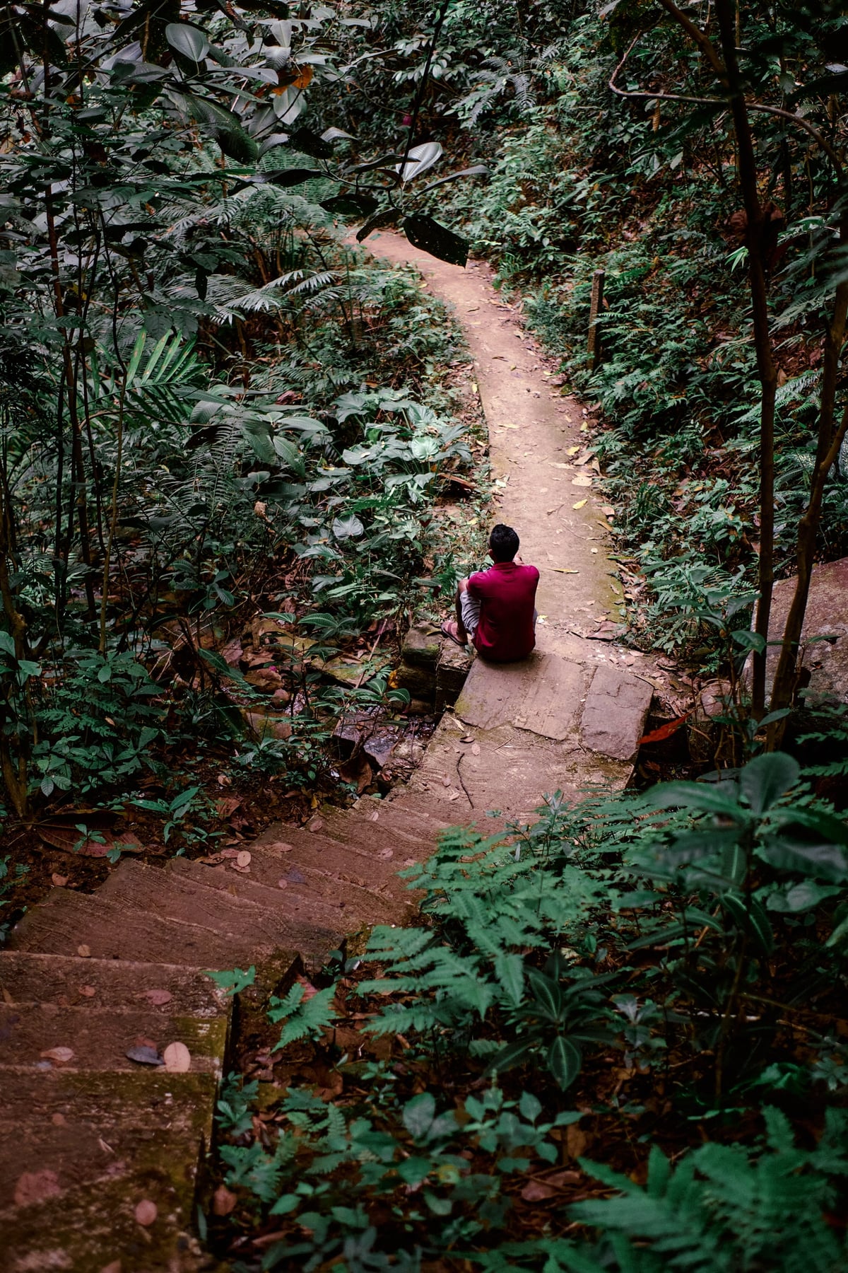 The Cost of Tea — Sri Lanka — 6